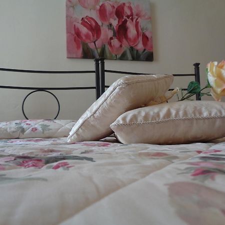 Affittacamere La Camelia Lucca Ngoại thất bức ảnh
